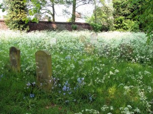 Old Norwich Jewish Cemetery 03
