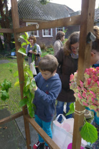 sukkot1